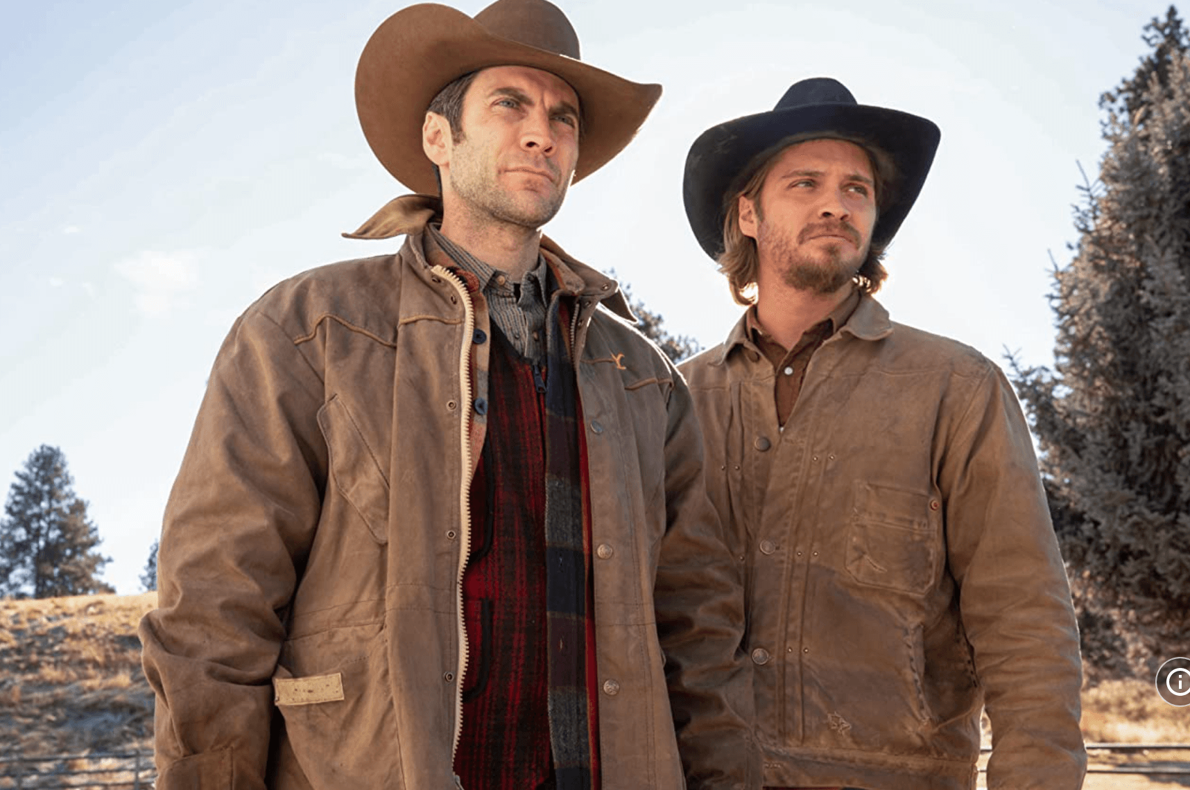 Yellowstone image 10